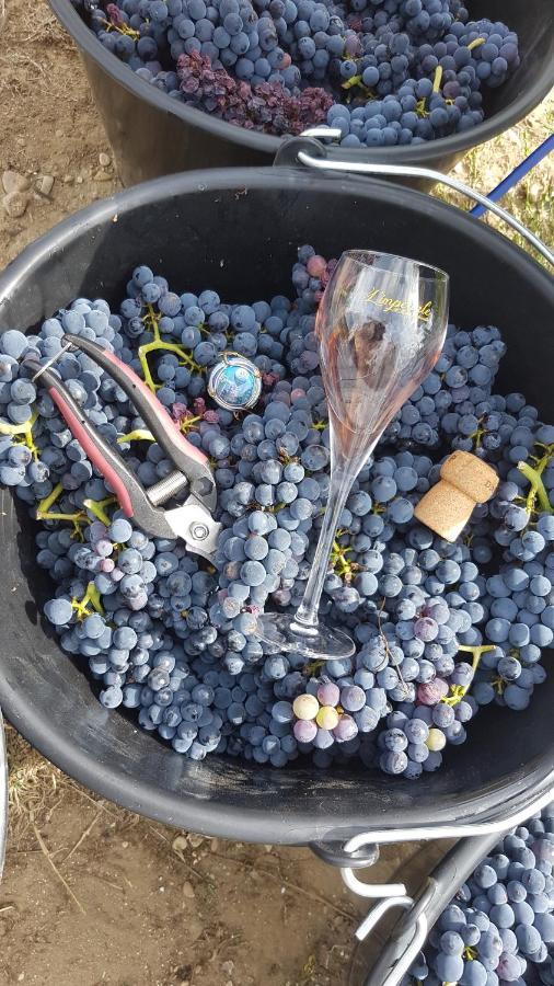 Enjoy En Champagne Maison Calme Au Milieu Du Vignoble Avec Parking Gratuit Dormans ภายนอก รูปภาพ
